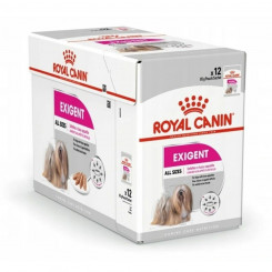 Margtoit Royal Canin Exigent Meat 12 x 85 g