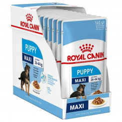 Wet Royal Canin Maxi Puppy 10 x 140 g
