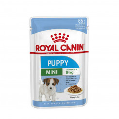 Margtoit Royal Canin Mini Puppy 12 x 85 г