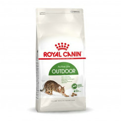 Kassitoit Royal Canin Outdoor Kana Täiskasvanu 2 Kg