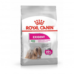 Sööt Royal Canin Mini Exigent 1kg Täiskasvanu Köögiviljad 1 kg