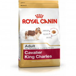 Sööt Royal Canin Cavalier King Charles Täiskasvanu 1,5 Kg