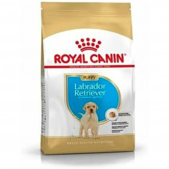 Корм Royal Canin для детей/подростков 3 кг