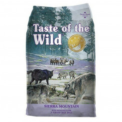 Sööt Taste Of The Wild Sierra Mountain Ламмас 12,2 кг