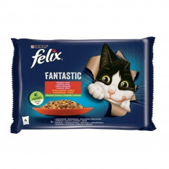 Boxed Purina Felix Fantastic Chicken Veal Carrots Tomatoes