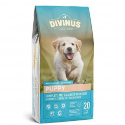 Feed Divinus Puppy Child/Young Hen 20 kg