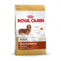 Sööt Royal Canin Dachshund Adult Täiskasvanu Linnud 7,5 kg