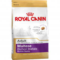 Feed Royal Canin Maltese Adult Adult Maize Birds 1.5 Kg