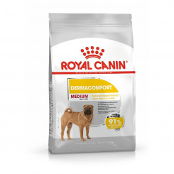 Feed Royal Canin Adult Meat 12 kg