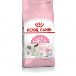 Boxed Royal Canin Chicken 2 Kg