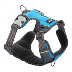 Dog Harness Red Dingo Padded Turquoise Blue Size XL