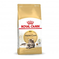 Kassitoit Royal Canin Maine Coon Adult + 1 aasta Täiskasvanu Linnud 10 kg