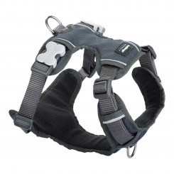 Dog Harness Red Dingo Padded Gray Size XL