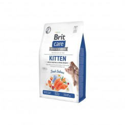 Boxed Brit Grain-Free Kitten Immunity Lõheroosa 7 kg