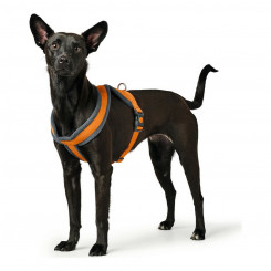 Шлейка для собаки Hunter London Comfort 39-47 см Оранжевый XS/S