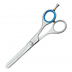Pet scissors Bifull Studio Stainless steel (15 cm) (15.2 cm)