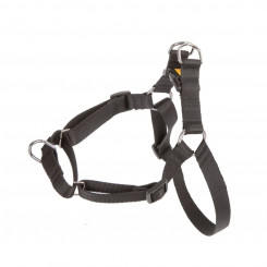 Dog harness Dingo 94463 Black
