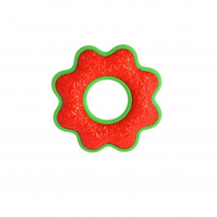 Dog toy Dingo 17393 Red Green Natural rubber 16.5 cm (1 Pieces, parts)