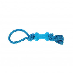 Dog toy Dingo 30076 Blue Cotton Natural rubber
