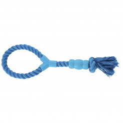 Dog toy Dingo 30082 Blue Cotton Natural rubber