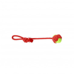 Koera mänguasi Dingo 30094 Punane Roheline Puuvill