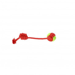 Koera mänguasi Dingo 30102 Punane Roheline Puuvill