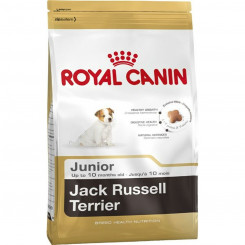 Sööt Royal Canin Jack Russell Junior Laps/Noor Riis Linnud 3 Kg