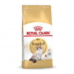 Kassitoit Royal Canin Ragdoll Adult Full-grown 2 Kg