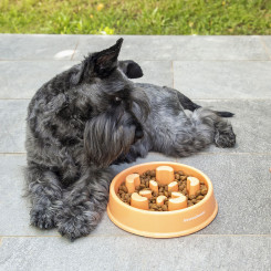 Миска для медленного еды для домашних животных Slowfi InnovaGoods