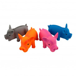 Koera mänguasi Nayeco Piggy Latex