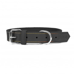 Dog collar Gloria Oasis Black (1,2 x 35 cm)