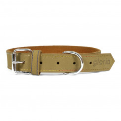 Dog collar Gloria Oasis Green (45 x 1,8 cm)