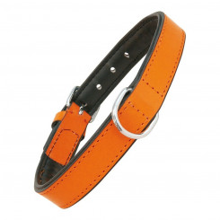 Dog collar Gloria Padded Orange (40 x 2 cm)