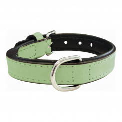 Dog collar Gloria Padded Green (50 x 2,5 cm)