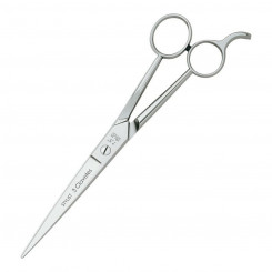 Pet Scissors 3 Claveles Stylist Stainless steel (19 cm) (19,05 cm)