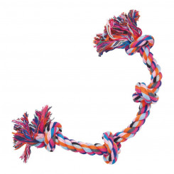 Koera närimismänguasi Gloria Multicolour Knot Cotton (2 x 50 cm)