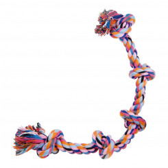 Dog chewing toy Gloria Multicolour Knot Cotton (2.5 x 60 cm)