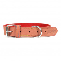 Dog collar Gloria Oasis Red (35 x 1,2 cm)