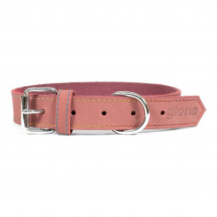 Dog collar Gloria Oasis Pink (45 x 1,8 cm)