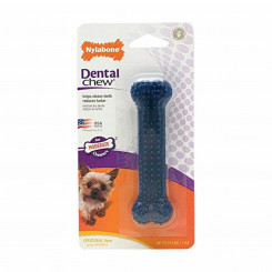 Dog toy Small Blue Thermoplastic