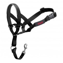 Dog Training Collars Company of Animals Halti Black Muzzle (29-36 cm)