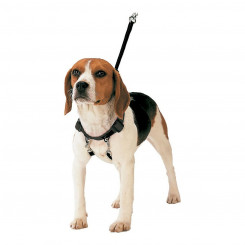 Dog Harness Gloria 40-60 cm Size L
