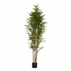 Decorative Plant Bamboo Green Plastic (80 x 180 x 80 cm)