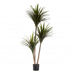 Decorative Plant Narrow leaf Green Plastic (80 x 200 x 105 cm)