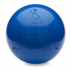 Koerte mänguasi Company of Animals Boomer Blue (200 mm)