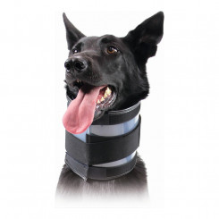 Cervical Collar for Dogs KVP Black (20-64 cm)