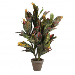 Декоративные растения из слюды Кротон Зеленый ПВХ (73 x 40 см)