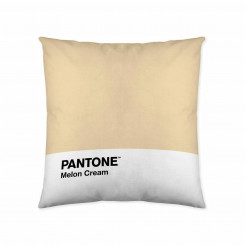 Чехол на подушку Дыня Кремовый Pantone (50 х 50 см)