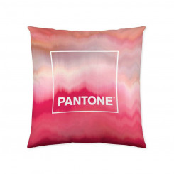 Чехол на подушку Pantone Тотем (50 х 50 см)