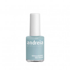 Nail polish Andreia Professional Hypoallergenic Nº 107 (14 ml)